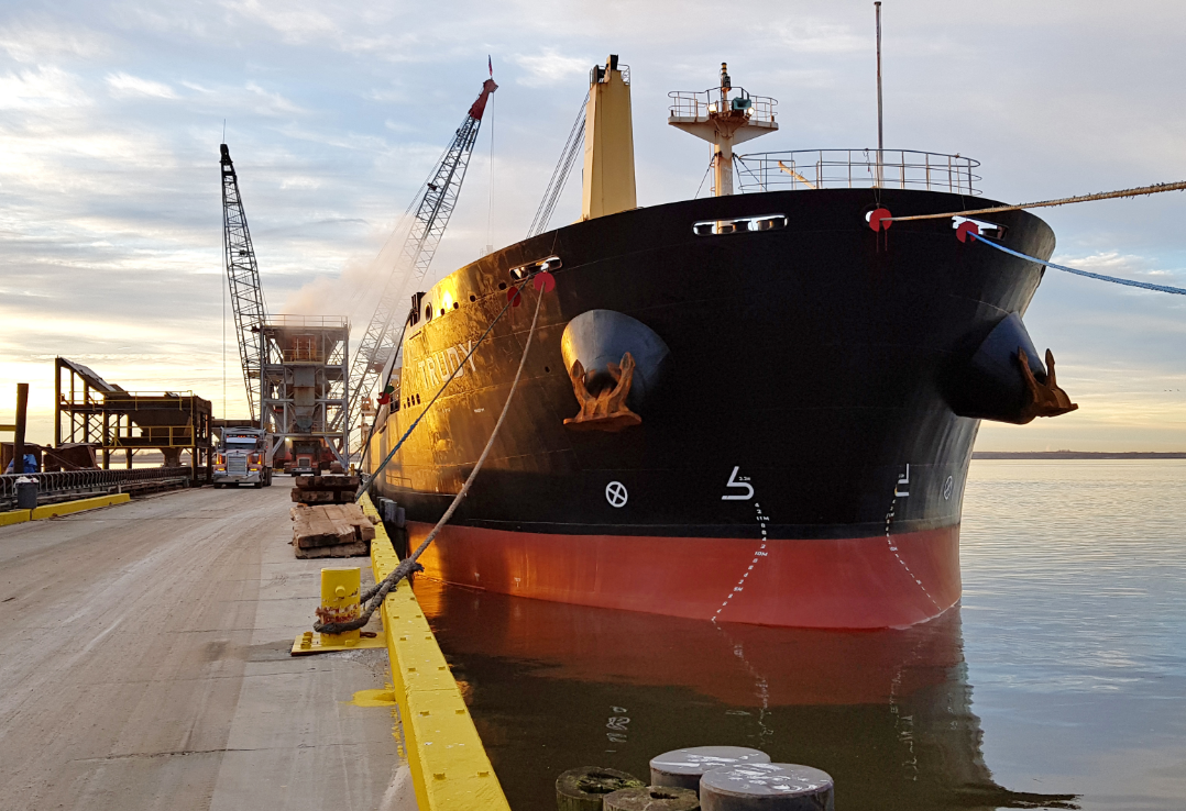 MINSHIP trials biofuel on bulk carrier